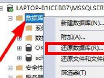 数据库mdf文件可以恢复吗_数据库mdf文件能否恢复详情-欧欧colo教程网