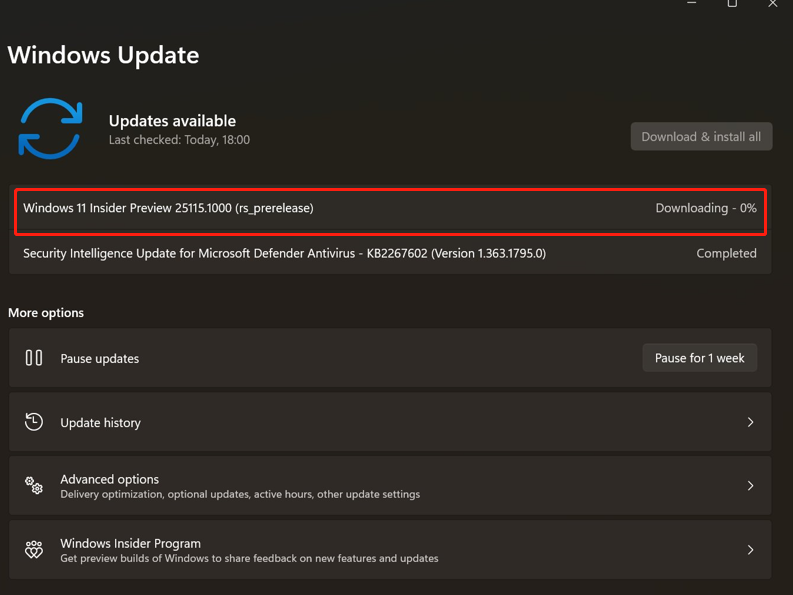 微软Win11 Build 25115.1000(rs_prerel