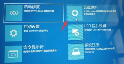 为什么Win11返回不了Win10？