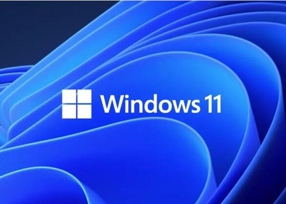 Win11的更新文件在哪里?Win11更新文件的位置-欧欧colo教程网