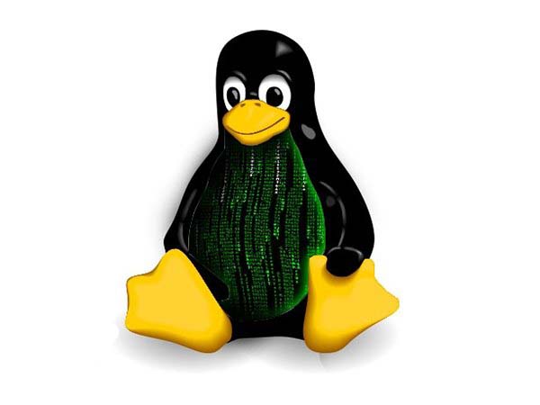 Linux Kernel 4.10第5个候选版本RTM版发布 2月12日发布正式版-欧欧colo教程网