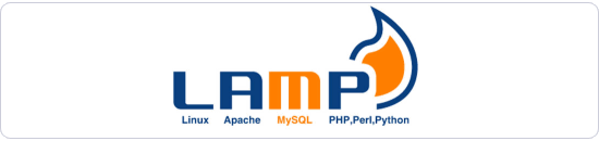 LAMP环境 LNMP环境 网站搭建 VPS主机