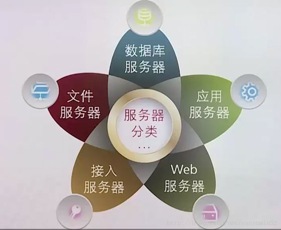 服务器类型